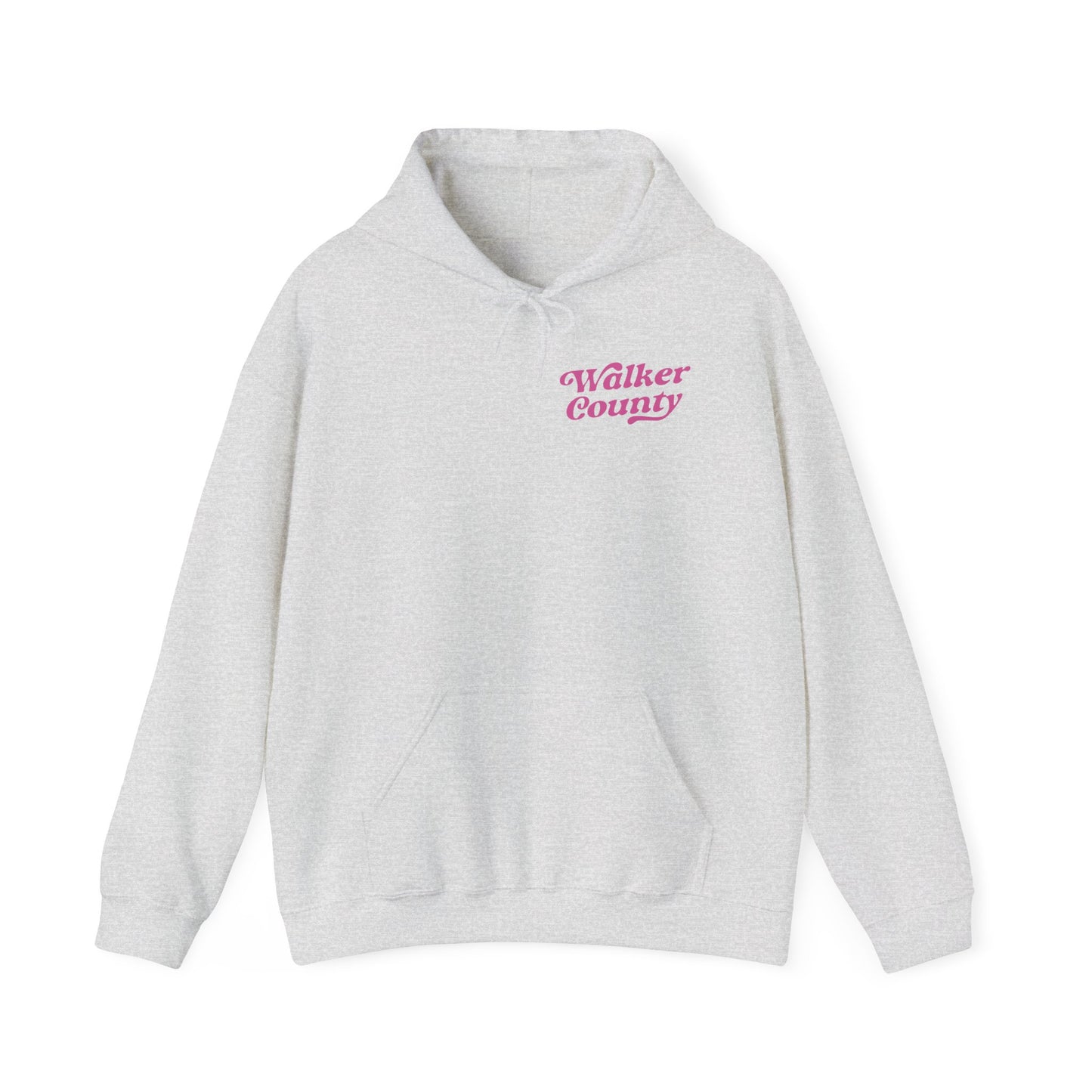 Painted Ponies Hooded Sweatshirt