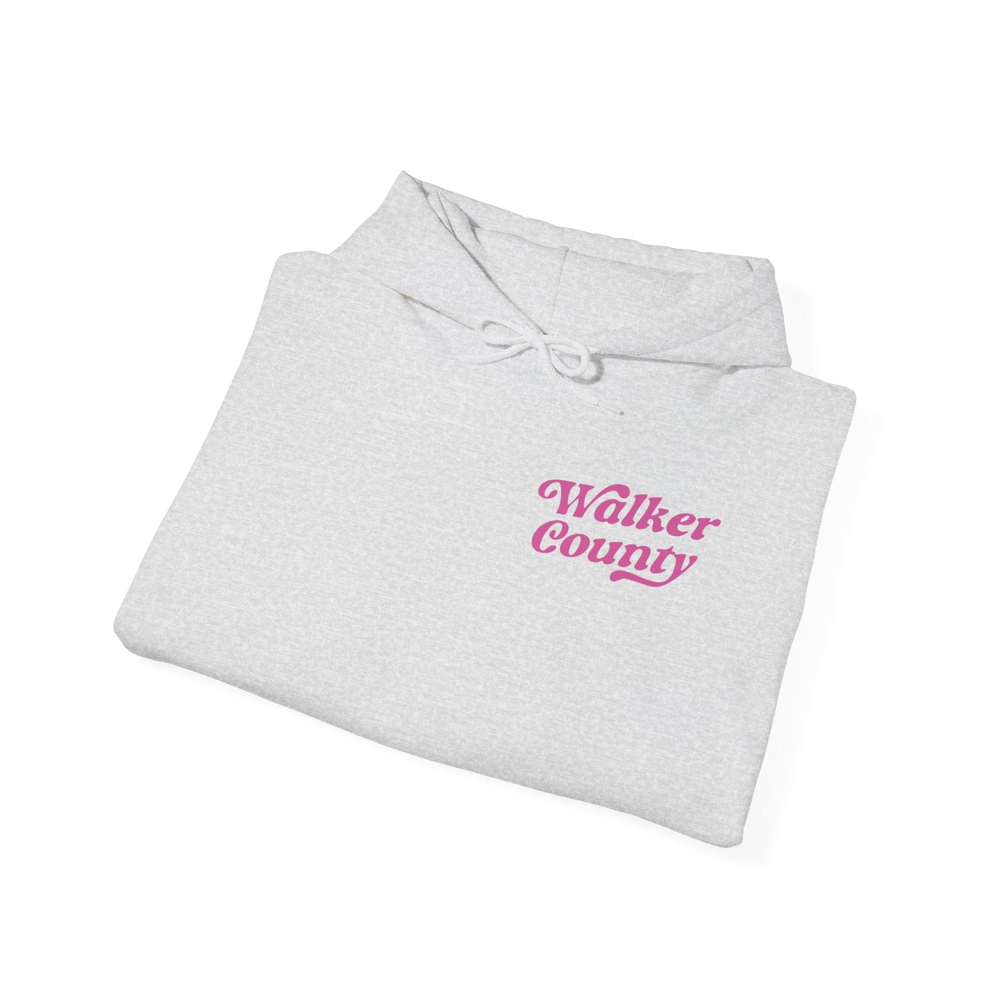 Painted Ponies Hooded Sweatshirt