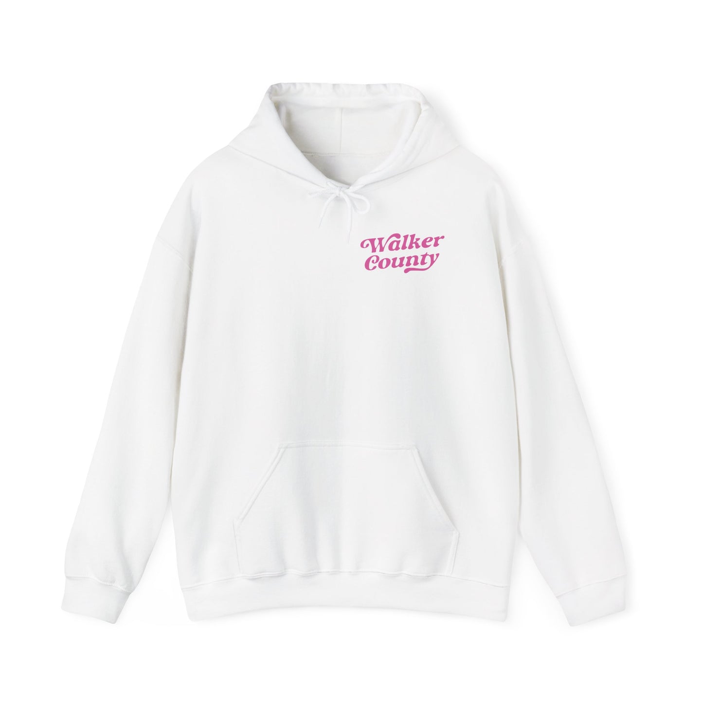 Painted Ponies Hooded Sweatshirt
