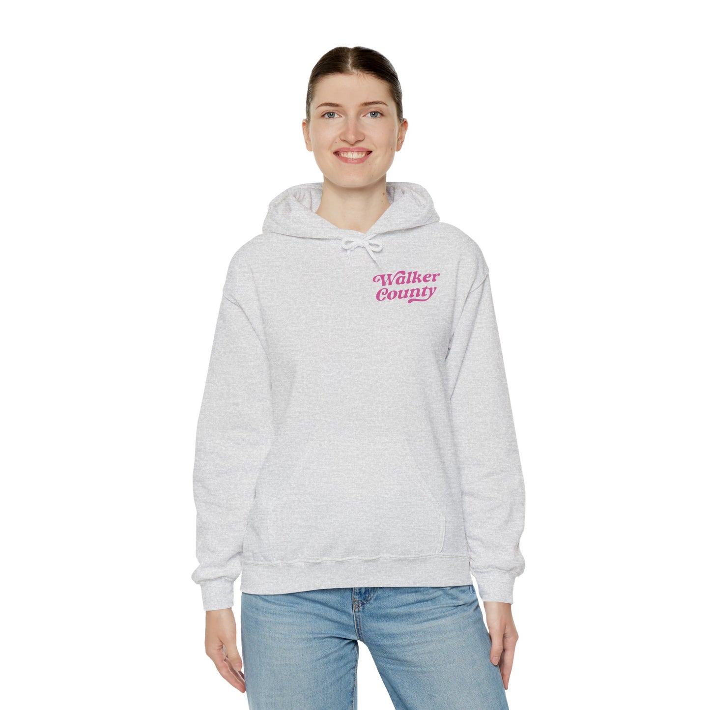Painted Ponies Hooded Sweatshirt