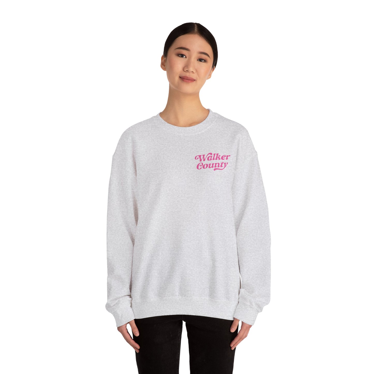 Painted Ponies  Crewneck Sweatshirt