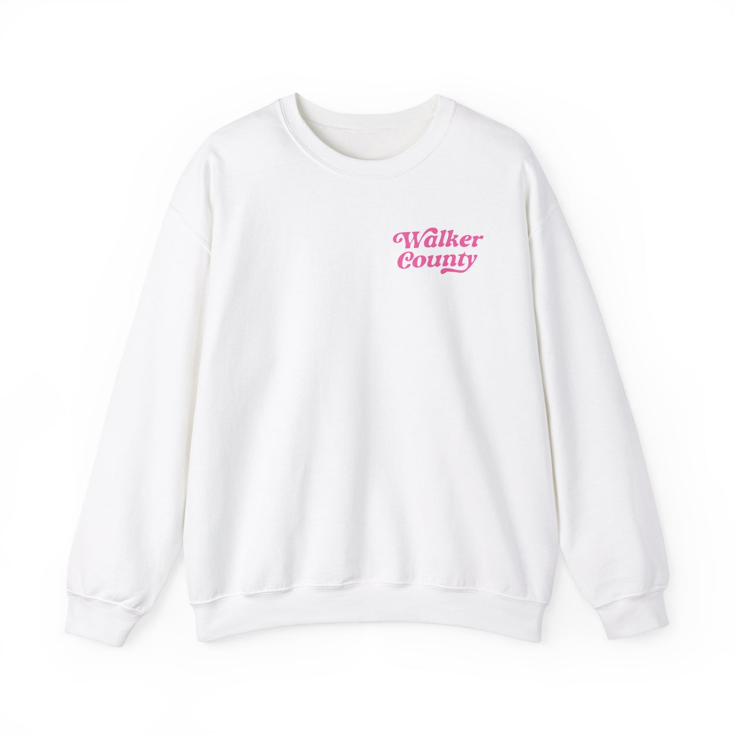 Painted Ponies  Crewneck Sweatshirt